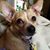 Margaret Moll's profile image
