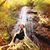 Alison Osborn's profile image