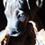Jennifer Ann's profile image