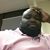 Demetrious Theoneandonly's profile image