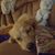 Nancy Eckert Doyle's profile image