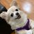 Peggy McCorkle Cropp's profile image