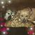 Kristen Engler Cahill's profile image