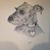Patti Savage's profile image