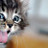 Gail's profile image