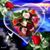Vera Vixtha's profile image