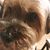 Clyde Conklin Baker's profile image