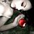 Lucia Rose Alvarado's profile image