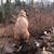 Jack Derzanovich's profile image