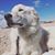 Kayly Adams's profile image