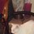 Sherrie Raymond's profile image