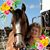 Jean Moch's profile image