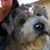 Krista J Goben's profile image