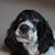 Wm Bret Curtis's profile image