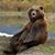 Bryan Blithe's profile image
