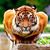 Gerald Gilstrap's profile image