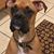 Bonnie Peeples's profile image