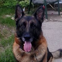 Robert Zubik's profile image