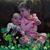 Lorraine Crawley Giarraffa's profile image