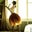 Elina Suharenko's profile image