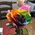 Jody Michalak Udovich's profile image