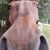 Ted Weis's profile image