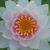 Val Nemeth's profile image