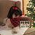 Linda Joyce-Rigor's profile image