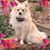 Sue Lee's profile image
