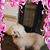 Sandee Anne's profile image