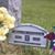 Toni Wallace Perretta's profile image