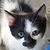 Shirley Luker's profile image