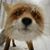 Sherryl Ream's profile image