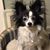 Mary Martin's profile image