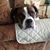 Cathy Roberts's profile image