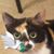 Judy McGuckin's profile image