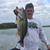 Condry Hyndman's profile image