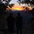 Maricela Campos's profile image