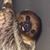 Julie Jones Crocker's profile image