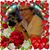 Cheryl Dillworth Keim's profile image