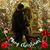 Amanda Stern Fender's profile image