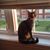 Josee Bourdon's profile image