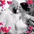 Shannon Schaffer's profile image