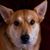 Janel Humm Subjack's profile image