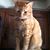 Karen Grabau Hunter's profile image