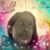 Yansã Toussaint's profile image