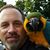 Gary Kaufman's profile image