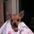 Joan Crosby's profile image