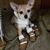 Lori Hrynkow's profile image