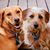 Susan McNulty Clausen's profile image